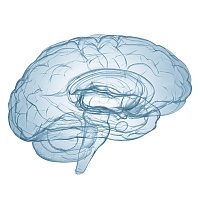 Jelenleg online kapcsolódásra tudok lehetőséget biztosítani.&nbsp; Várhatóan 2026 tavaszán érkezem vissza Magyarországra.&nbsp;